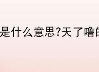 天了噜是什么意思?天了噜的出处