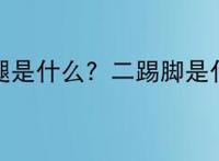 二踢腿是什么？二踢脚是什么?