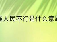 这届人民不行是什么意思?