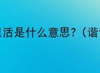 荷里活是什么意思?（谐音）