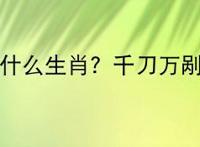 千刀万剐是什么生肖？千刀万剐打一生肖？
