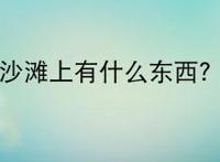 沙滩上有什么东西？