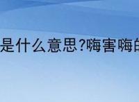 嗨害嗨是什么意思?嗨害嗨的出处