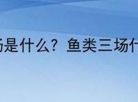 鱼类三场是什么？鱼类三场什么意思