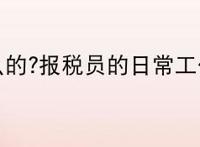 报税员是干什么的?报税员的日常工作内容是什么？