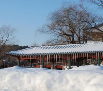 真实雪景图片