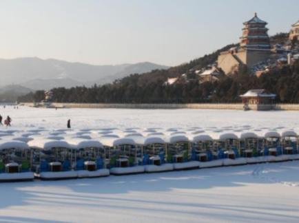 真实雪景图片