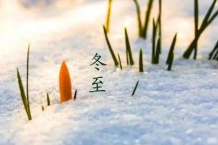 关于冬至的诗句有哪些