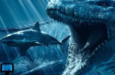 海洋最大的生物排名