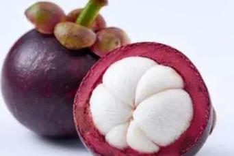 水果山竹的功效作用