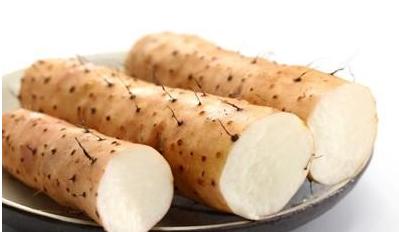 养胃的最好方法