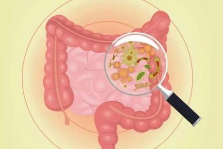 女性身体最关键五部位的美容保养