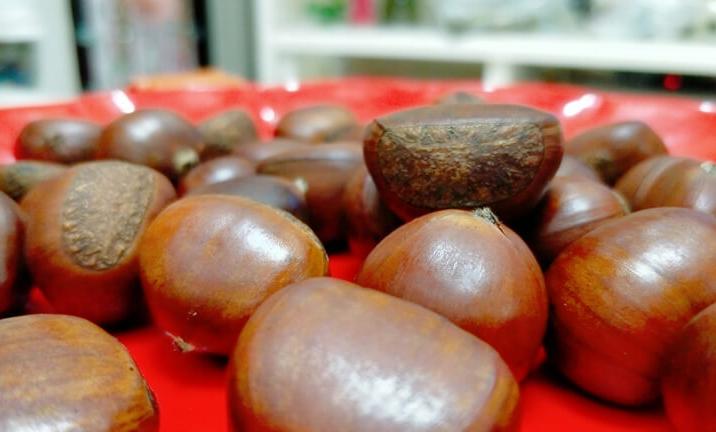 板栗不能跟那些食物一起吃