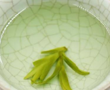 龙井绿茶的功效与作用