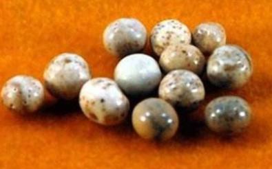 最全的世界十大未解之谜真相