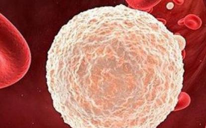 什么原因导致白细胞偏低