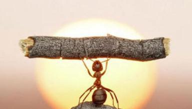 领导测试你的抗压能力