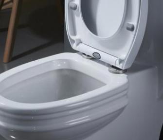 厕所污渍用什么处理最有效