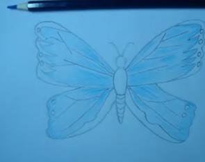 手绘蝴蝶翅膀图片
