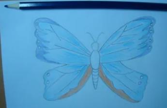 手绘蝴蝶翅膀图片