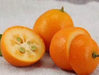 金桔止咳最快的偏方