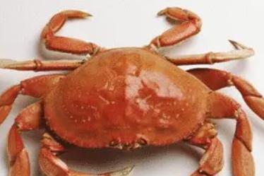 河蟹的营养价值