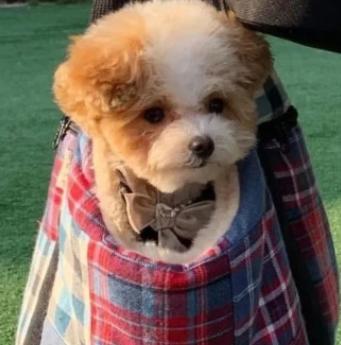 好看又治愈的背景图