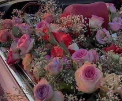 好看又治愈的背景图