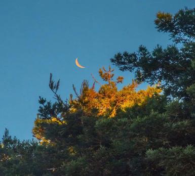 好看又治愈的背景图