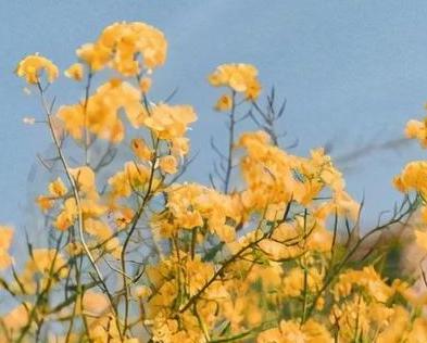 好看又治愈的背景图