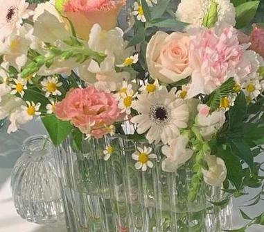 好看又治愈的背景图