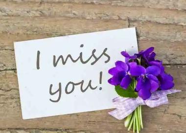 高情商的撩人句子