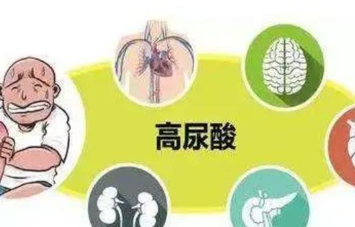 血尿酸增高什么意思