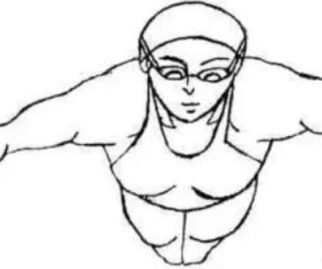 蛙泳的正确姿势慢动作