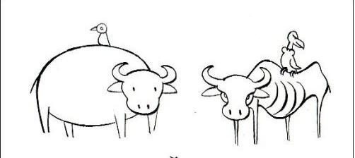简笔画牛的方法