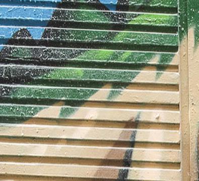 春天踏青赏花的诗句