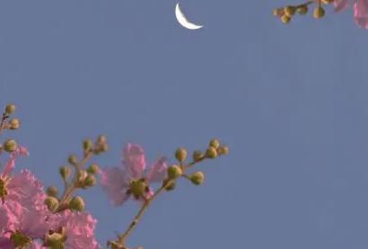 母亲节发的伤感说说