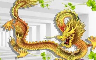 属龙的婚配属相最好