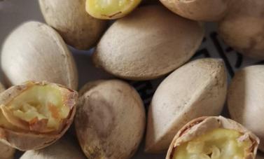 白果的功效与作用一天吃几个