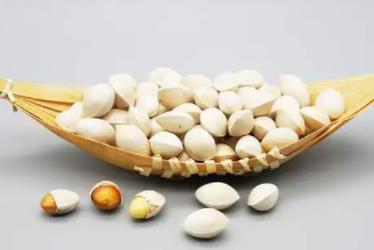 白果的功效与作用一天吃几个