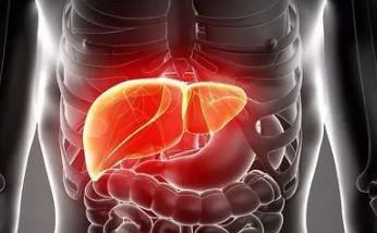 女性肝脏不好有哪些症状表现