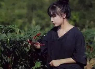 李子柒事件最新进展