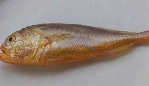 世界最高级9种食物