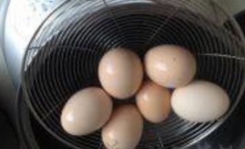 正确水煮鸡蛋的做法
