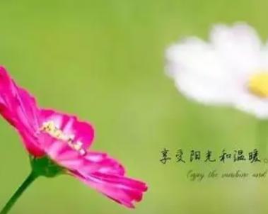 微信朋友圈说说成熟句子带图片