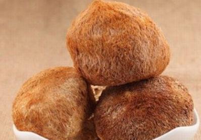 猴头菇的功效作用与主治