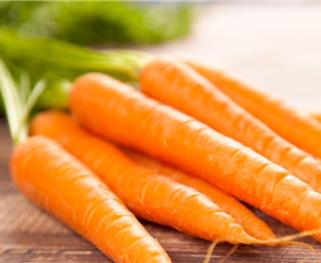 湿气重的人吃什么食物最好