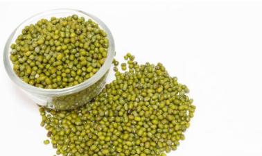 湿气重的人吃什么食物最好