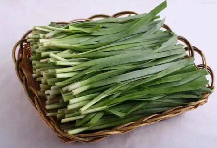 怀孕能吃韭菜吗中期