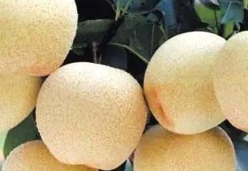 代表四川特色的东西